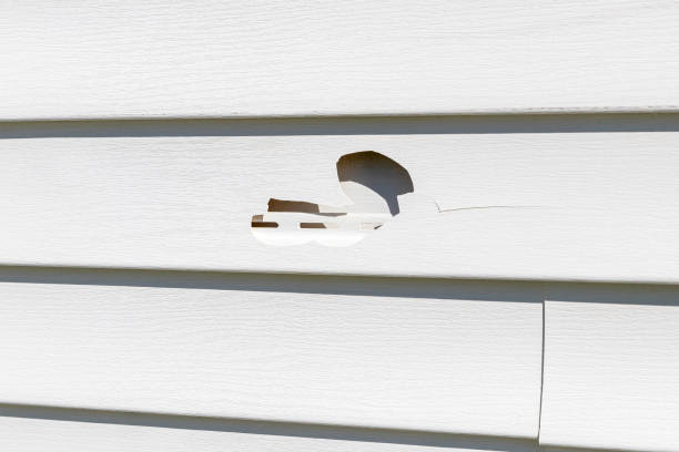 Best Aluminum Siding Installation  in Oakfield, WI