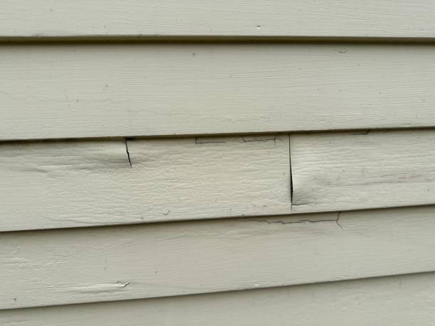 Siding for Multi-Family Homes in Oakfield, WI