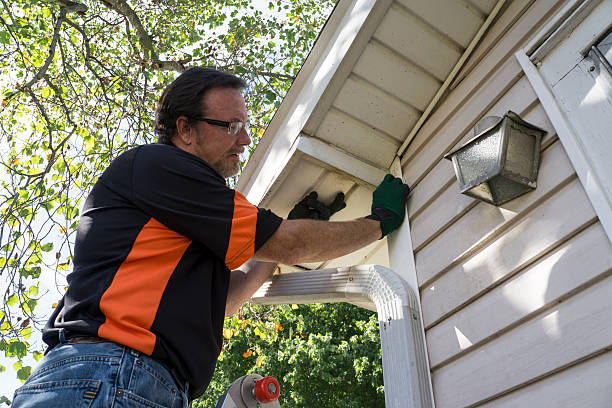 Best Brick Veneer Siding  in Oakfield, WI